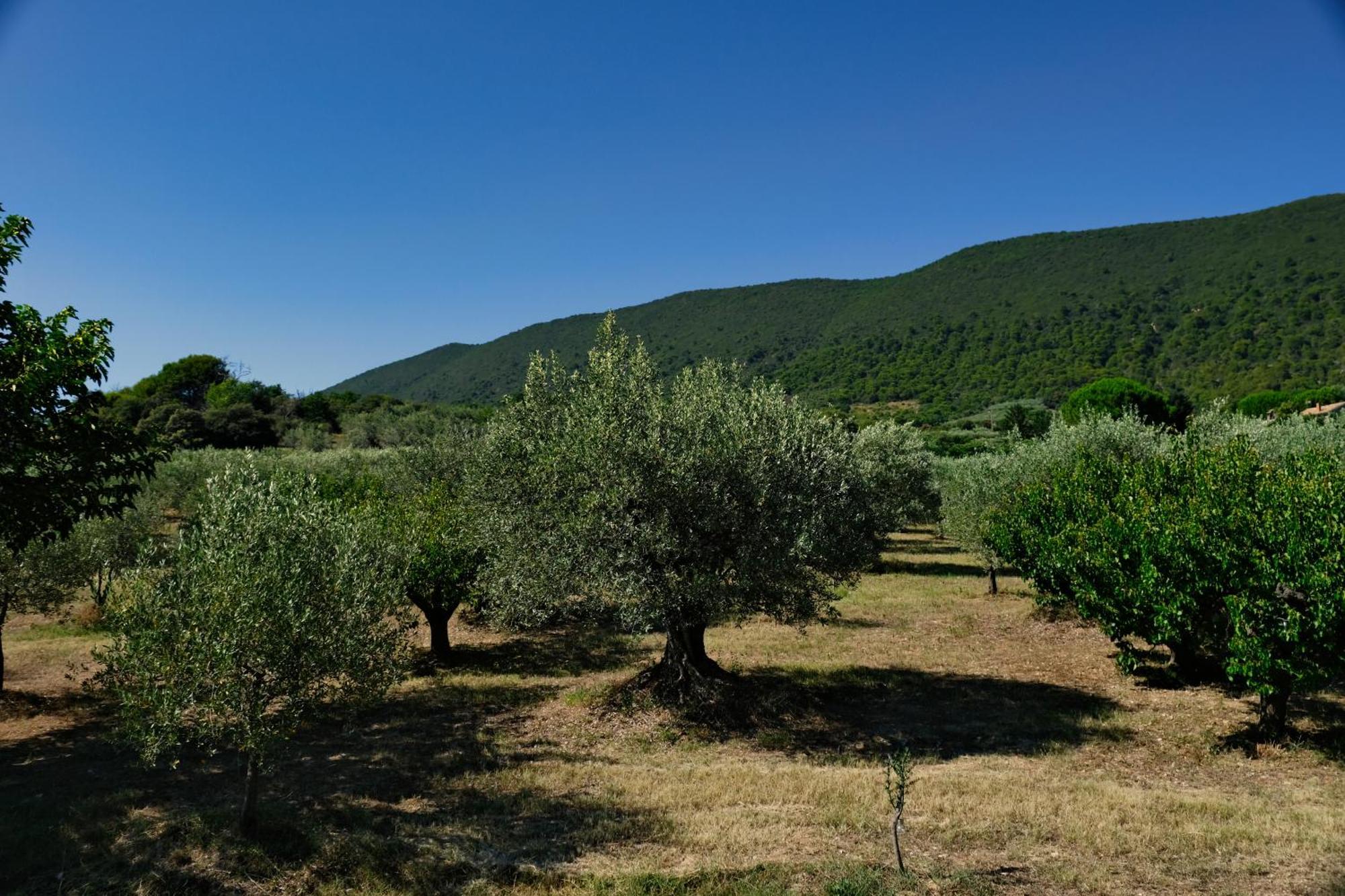 Terre De Lumiere Villa Nyons Dış mekan fotoğraf
